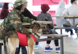 April 26, 2022:  Senator Jim Brewster hosted a FREE Informational Pet Training Session at Renziehausen Par where dog owners gained training knowledge from professional trainers.