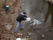 Trout Stocking