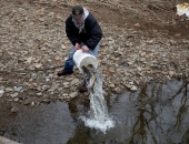 Trout Stocking