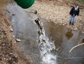 Trout Stocking