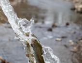 Trout Stocking