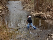 Trout Stocking