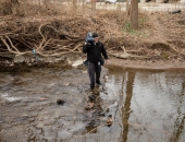 Trout Stocking