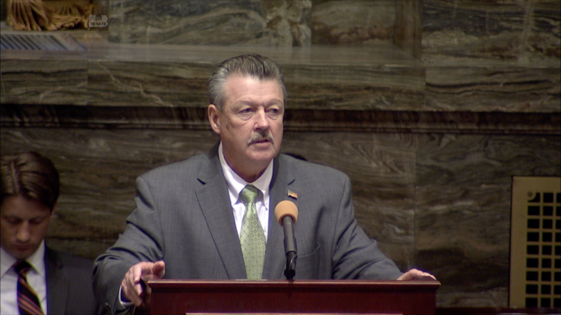 Sen. Brewster floor remarks on H.B. 466. 6/30/2015